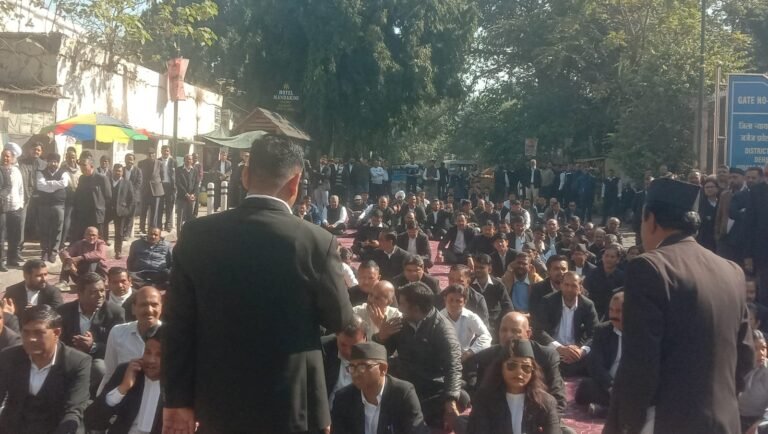 WhatsApp Image 2025-11-18 at 15.21.10_23d8a7af